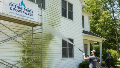 Vinyl siding pressure cleaning in Louisville, KY by Louisville Paint Pros removing mold and grime